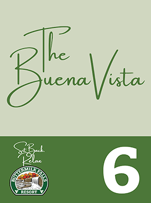 The Buena Vista